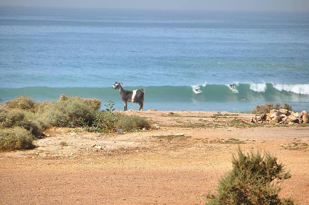 Manzili Surfhouse 호텔 Tamraght 외부 사진